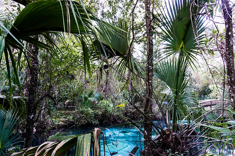 Juniper Springs in the Ocala National Forest
