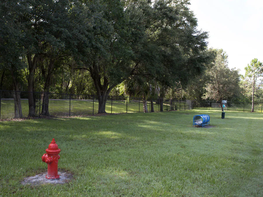Auburndale Dog Park