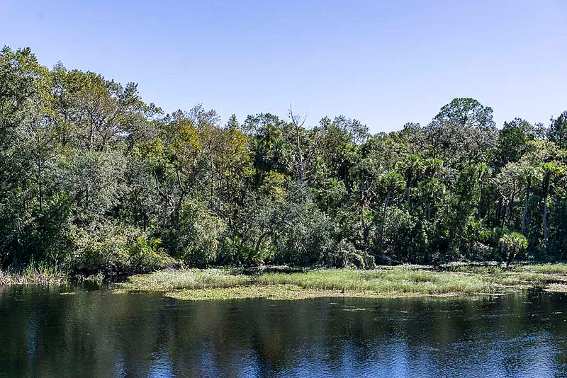 Ocala National Forest