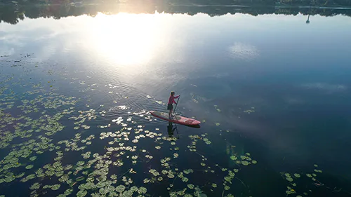 paddleboarder on a lake in Winter Haven, FL
