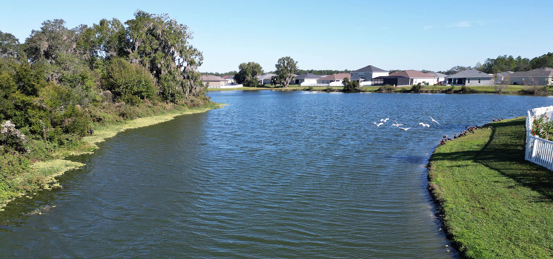 New homes in Zephyrhills in peaceful surroundings