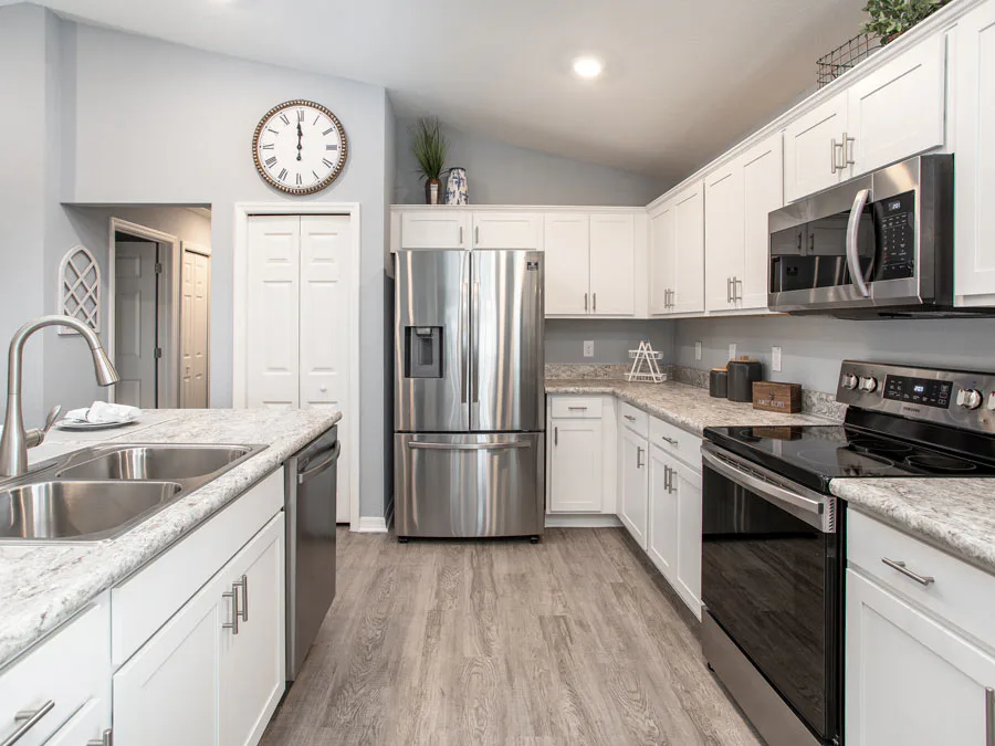 Begonia - Kitchen