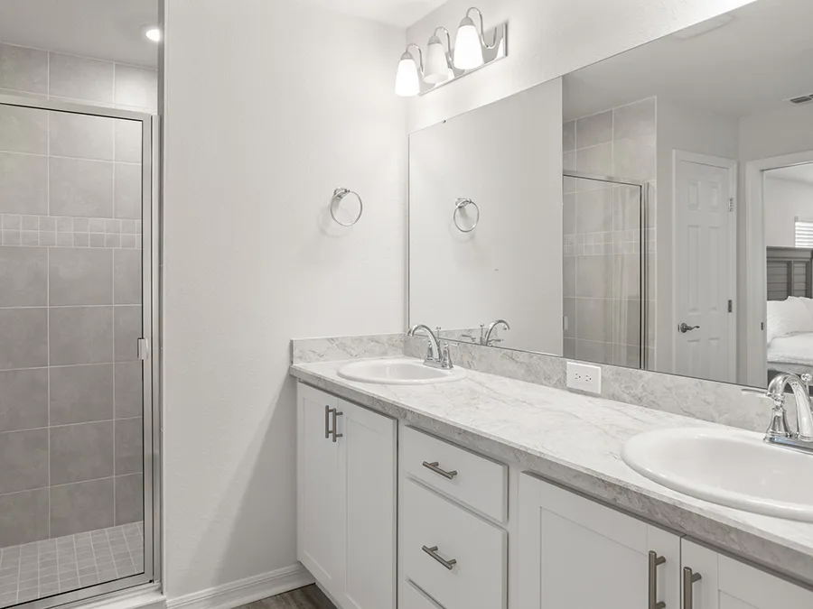 Room Paisley-Owner's Suite Bath Page