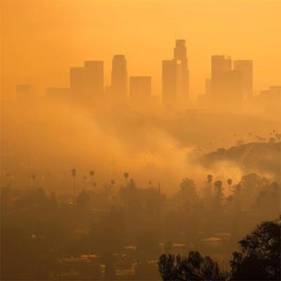 LA-Fire-Relief-Blog-Left_Right.jpg LA-Fire-Relief-Blog-Left_Right.jpg