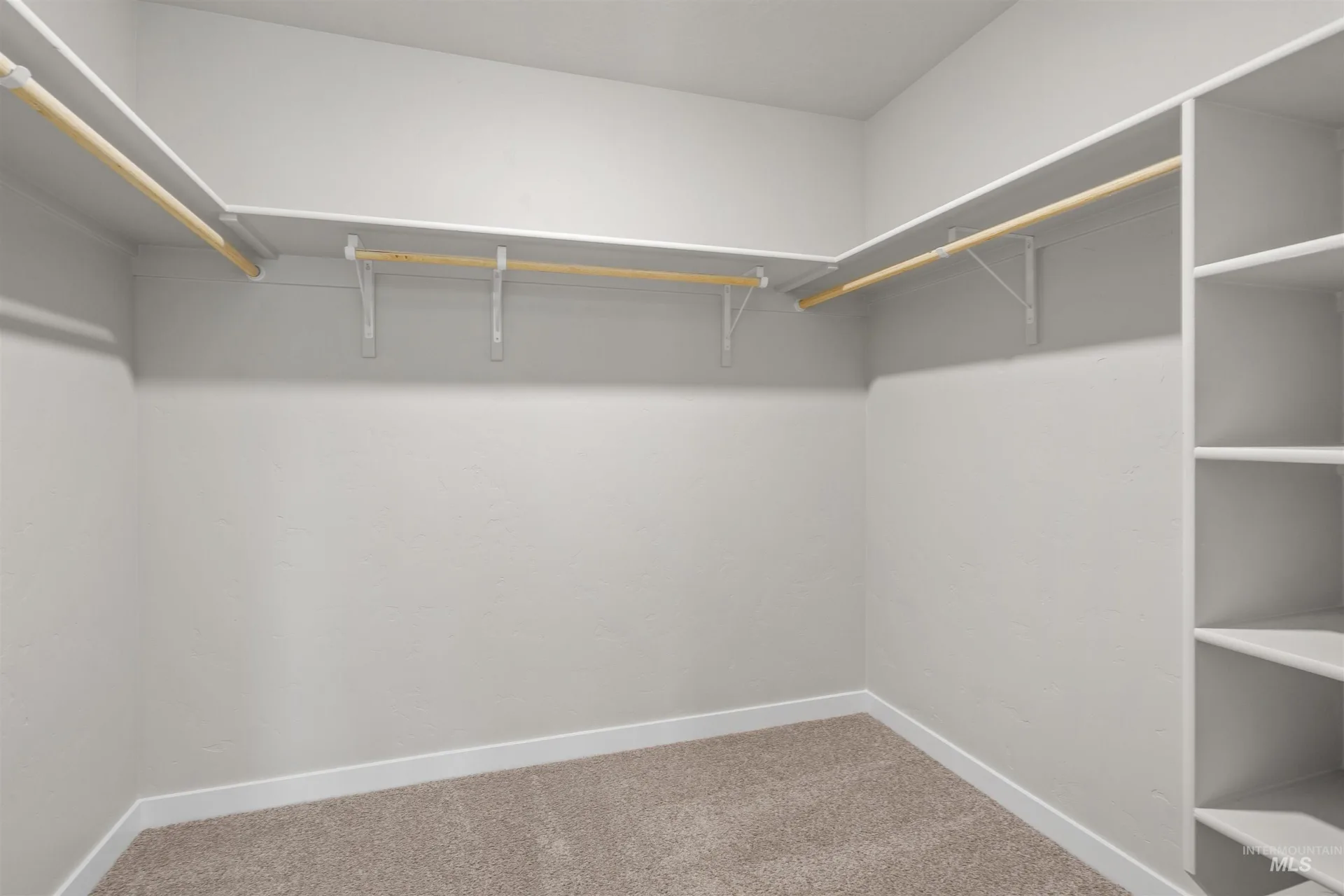 Birch