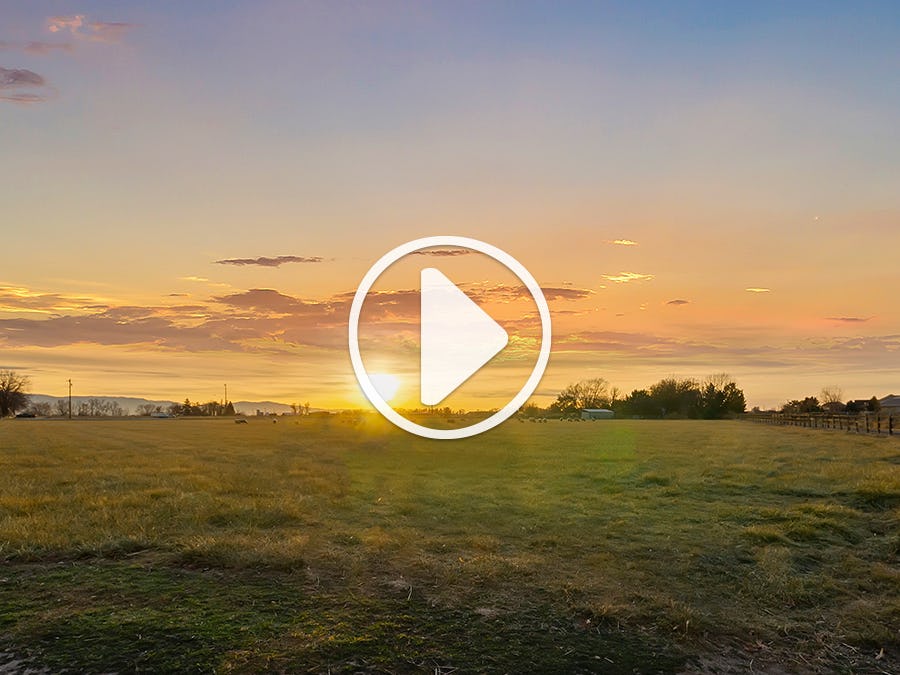 Greendale Grove (Community)