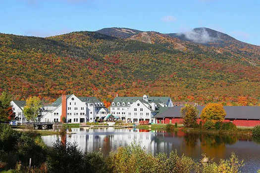How Vacation is Transforming the Way People Live