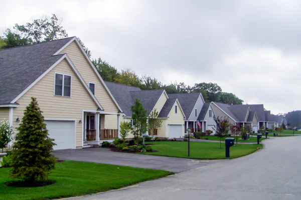 They Vineyards | Stratham, NH
