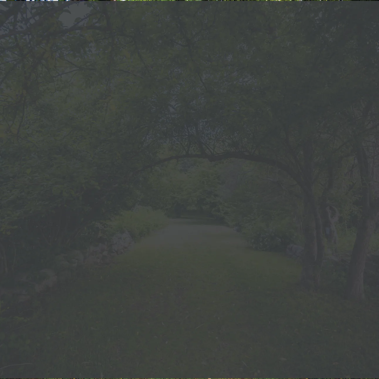 Thumbnail13.jpg