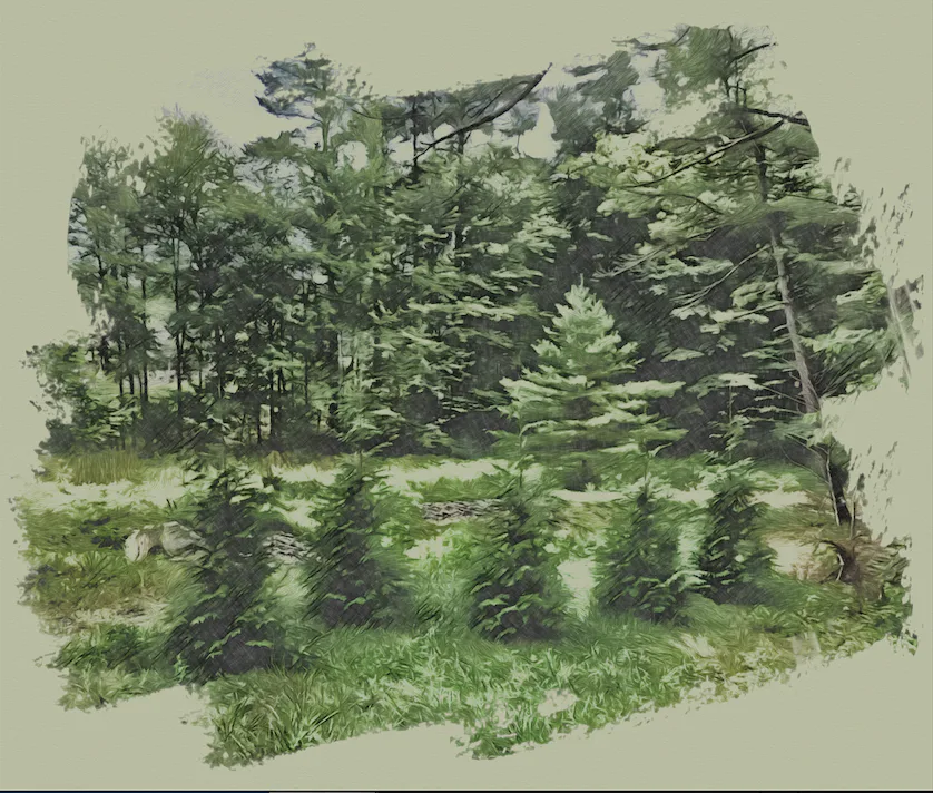 Thumbnail3.jpg