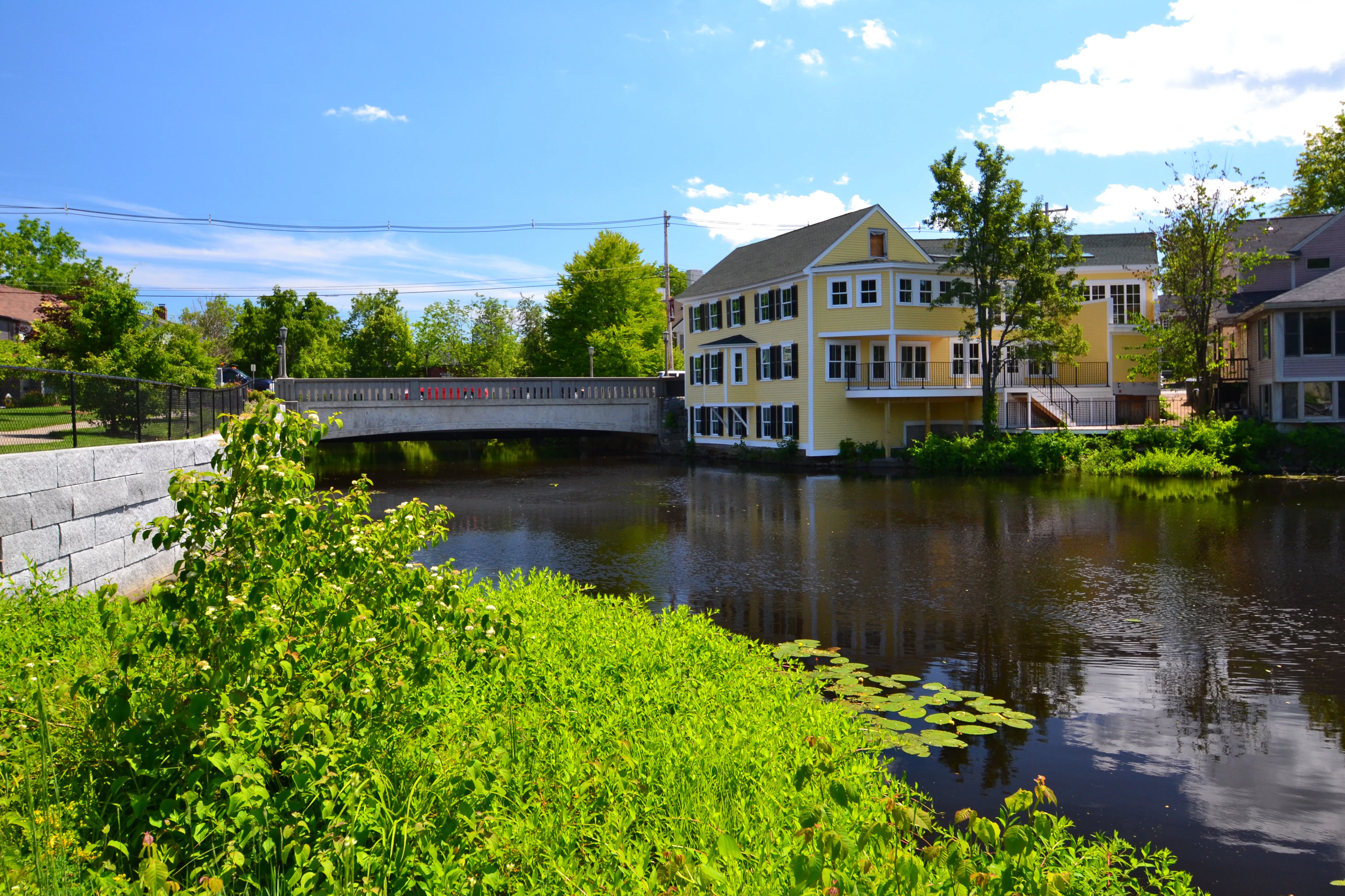 bramble-meadow-lake.jpg